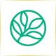 Evergreen Valley College - Mechanic School Ranking
